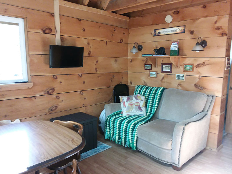 Living Area - Lakeview Cabin